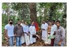 'തലവടി ചുണ്ടൻ ' വൃക്ഷപൂജ നടന്നു.