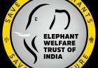 സഹായം വാഗ്ദാനം ചെയ്ത് ,തൃശൂർ എലിഫൻ്റ് വെൽഫയർ ട്രസ്റ്റും,