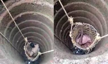 കിണറിൽ വീണ ആളെ രക്ഷിച്ചു..