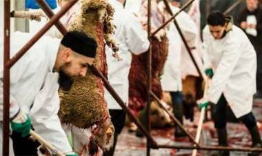 മൃഗങ്ങളെ അറുക്കുന്നതിന് മുമ്പ്  ബോധം കെടുത്തിയിരിക്കണമെന്ന നിയമം യൂറോപ്യന്‍ യൂണിയനിലുള്‍പ്പെട്ട രാജ്യങ്ങള്‍ക്ക് നടപ്പാക്കാമെന്ന് യൂറോപ്യന്‍ യൂണിയന്‍ കോടതി; നിയമം മതാചാരത്തിനെതിരാണെന്ന വിമര്‍ശനവുമായി മുസ്ലിം-ജൂത വിഭാഗങ്ങള്‍