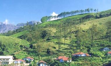 പട്ടയ വ്യവസ്ഥ ലംഘിച്ച കെട്ടിടത്തിന്‍റെ പാട്ടത്തിനുള്ള അപേക്ഷ തള്ളി