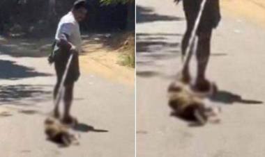 വീണ്ടും കണ്ണില്ലാത്ത ക്രൂരത; നായയെ അടിച്ച്‌ പരിക്കേല്‍പ്പിച്ച്‌ കുരുക്കിട്ട് റോഡിലൂടെ വലിച്ചിഴച്ചു; ഒരാള്‍ക്കെതിരെ കേസെടുത്തു