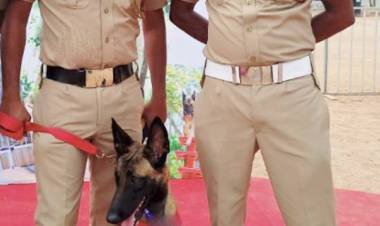 ജൂഡി ആലപ്പുഴയിലെത്തി; ലാദന്‍ വേട്ടയില്‍ വഴികാട്ടിയായ ബെല്‍ജിയം വംശത്തിലെ ട്രാക്കര്‍, പോലീസ്‌ സ്‌ക്വാഡ്‌ ഇനി വേറെ ലെവല്‍