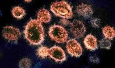 ഇന്ത്യയില്‍ കണ്ടെത്തിയ കോവിഡ് വകഭേദങ്ങള്‍ കൂടിയ വ്യാപന ശേഷിയുള്ളത് ; ജാഗ്രത