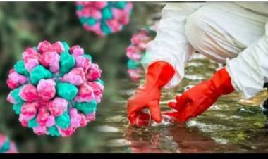 വയനാട് നോറോ വൈറസ് സ്ഥിരീകരിച്ചു;