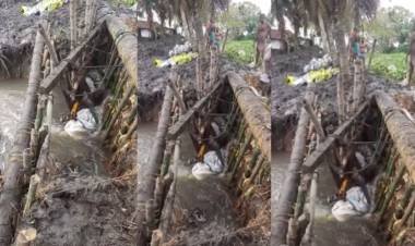 കിഴക്കന്‍ വെള്ളത്തിന്റെ ശക്തമായ ഒഴുക്കില്‍ ചമ്പക്കുളം പാടശേഖരത്തില്‍ മടവീണു