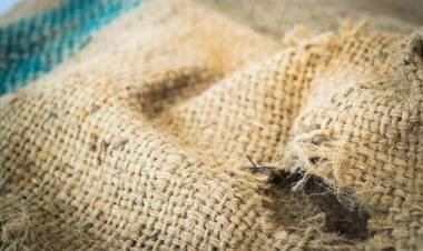 ചാക്കിൻ്റെ പേരിൽ കോടികൾ ചാക്കിലാക്കുന്ന ഉദ്യോഗസ്ഥരും കരാറുകാരും, സിവിൽ സപ്ലെസ് കോർപ്പറേഷൻ കോടികൾ തട്ടിപ്പ് നടത്താൻ മാത്രമോ?