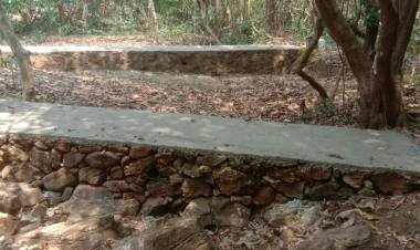 പാണിയേലി പോരിൻ്റെ പേരിൽ പണം കൊയ്യുന്ന വനം വകുപ്പ് ഉദ്യോഗസ്ഥരും, രാഷ്ട്രീയക്കാരും