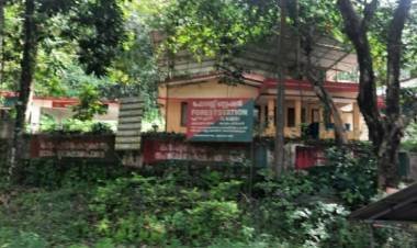 കഞ്ചാവു് തൈകൾ നട്ടുപിടിപ്പിക്കാൻ കൂട്ടുനിന്ന പ്ലാച്ചേരി ഫോറസ്റ്റ് സ്റ്റേഷനിലെ ഉദ്യോഗസ്ഥരെ സംരക്ഷിച്ച് താത്കാലിക ജീവനക്കാരനെതിരെ മാത്രം നടപടി,