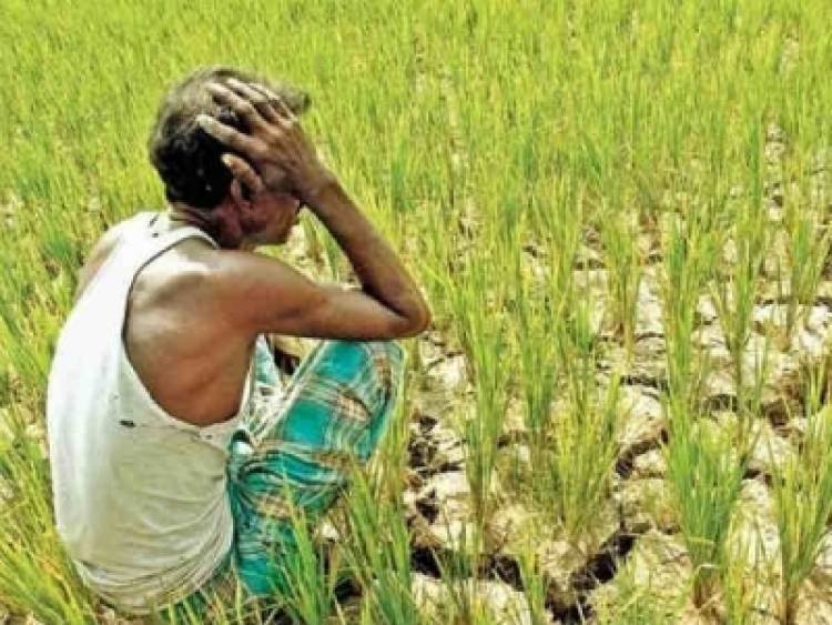 കർഷകസമരം ഇന്ന് നിർണായക ചർച്ച:  സമവായമാർഗം തേടി സർക്കാർ