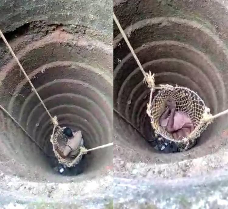 കിണറിൽ വീണ ആളെ രക്ഷിച്ചു..