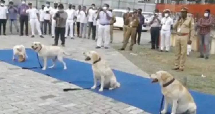 എത്ര നിഗൂഢമായാലും           "ഇവര്‍"             കണ്ടെത്തും...