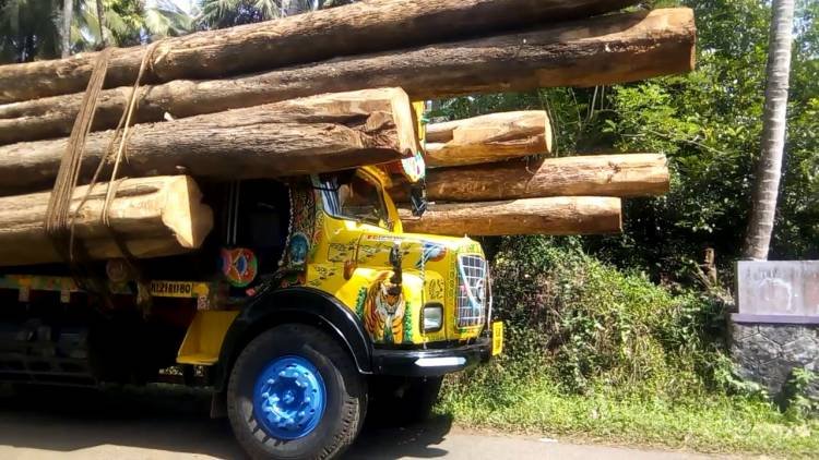                  തടി​കേടാക്കും തടി​ലോറി​കള്‍...        നി​രത്തുകള്‍ കൊലക്കളങ്ങളാകുന്നു...