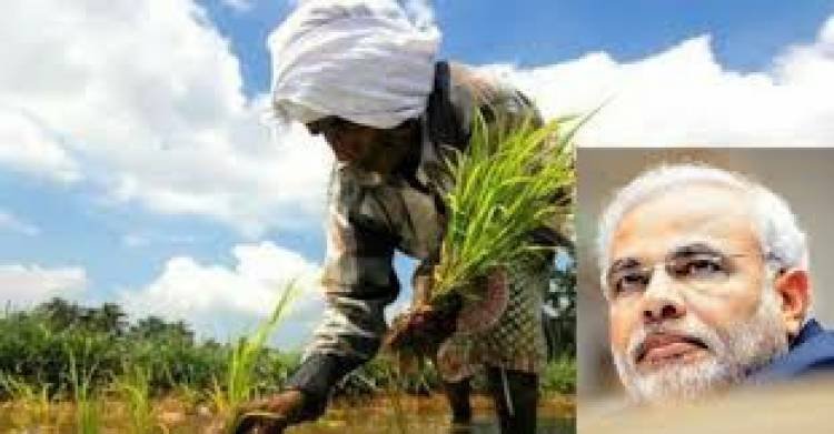 വിള ഇന്‍ഷുറന്‍സ് കേന്ദ്രം 133.26 കോടി നല്‍കി,കിട്ടിയത് 1.56 ലക്ഷം കര്‍ഷകര്‍ക്ക് 