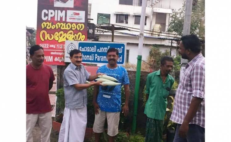 കാസ്ട്രോ ബ്രദേഴ്സിൻ്റെ വിളവെടുപ്പിൽ, സമൃദ്ധിയോടെ പച്ചക്കറികൾ