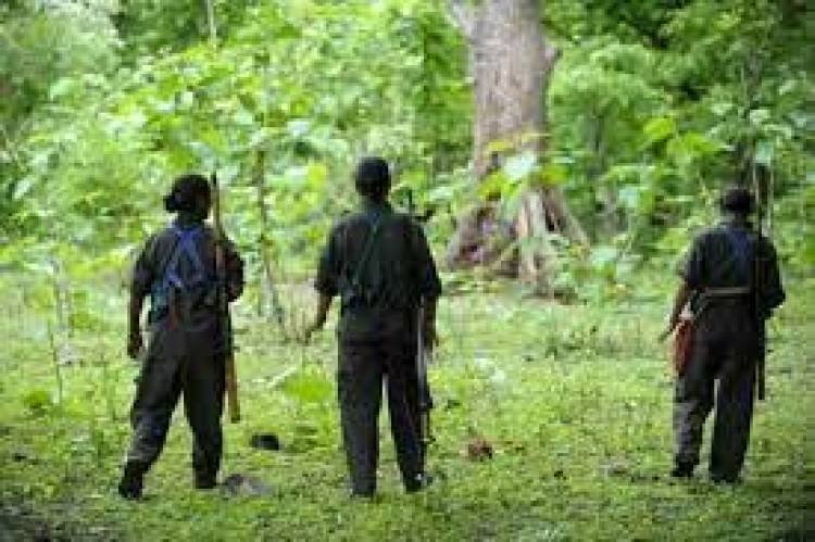 വയനാട് മട്ടിലയത്തിന് സമീപം പന്നിപ്പാട് കോളനിയില്‍ മാവോയിസ്റ്റ് സാന്നിധ്യം