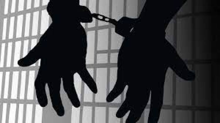 വയോധികയെ ആക്രമിച്ച് സ്വര്‍ണാഭരണങ്ങള്‍ കവര്‍ന്നു : രണ്ട് പ്രതികളെ അറസ്റ്റ് ചെയ്തു