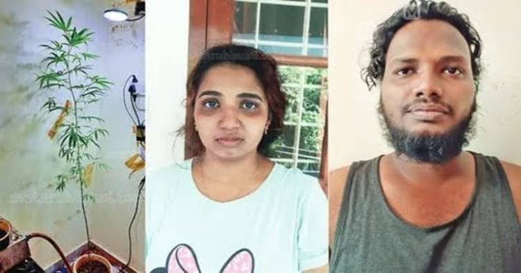 എന്താ അല്ലേ ; ഫ്‌ളാറ്റിലെ അടുക്കളയില്‍ കഞ്ചാവ് ചെടി വളര്‍ത്തല്‍: യുവാവും യുവതിയും പിടിയില്‍