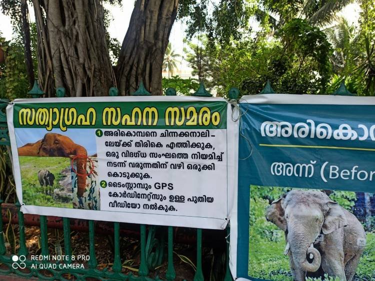 അരികൊമ്പന് വേണ്ടി അമ്മമാർ, പരിഹാസം നിറഞ്ഞ മുഖത്തോടെ വനം വകുപ്പും, സർക്കാരും