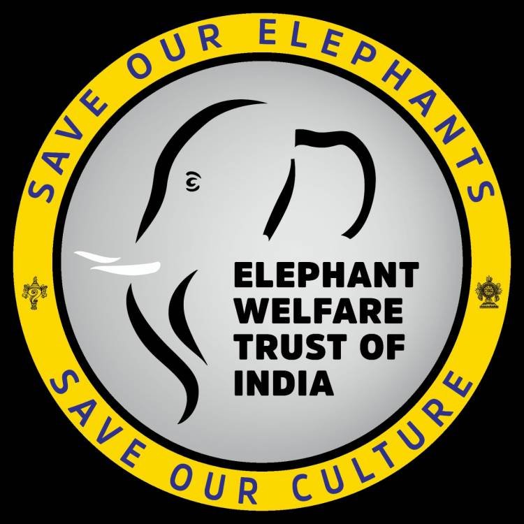 സഹായം വാഗ്ദാനം ചെയ്ത് ,തൃശൂർ എലിഫൻ്റ് വെൽഫയർ ട്രസ്റ്റും,